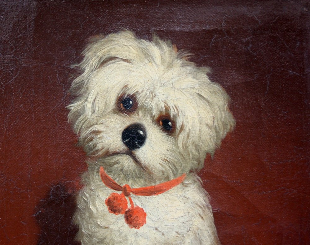 Favorite Dog By Carl Reichert (austrian,1836-1918), Attr.to-photo-4
