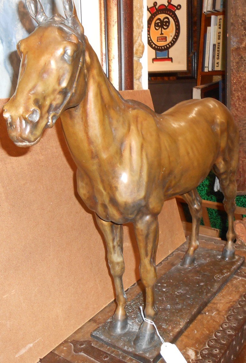 Bronze Horse Davide Calandra-photo-4