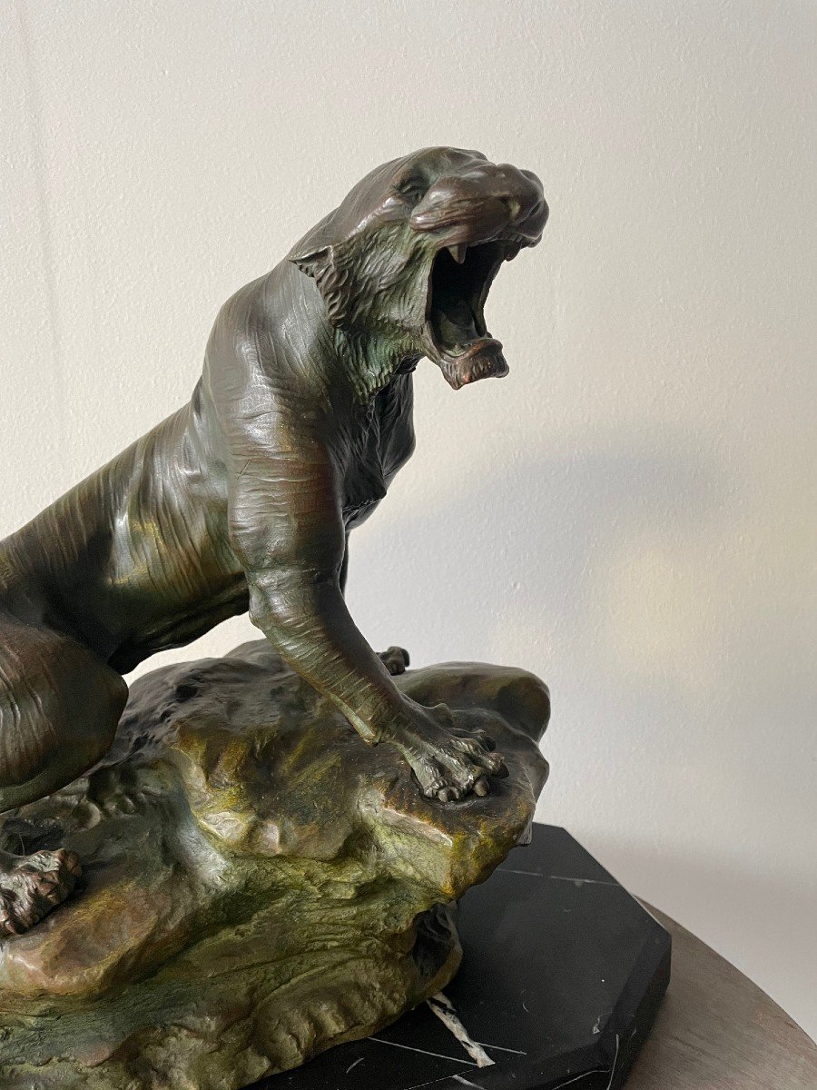 Sculpture, Roaring Lioness In Bronze Signed By Thomas Cartier-photo-3