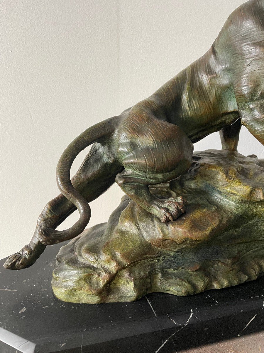 Sculpture, Roaring Lioness In Bronze Signed By Thomas Cartier-photo-4