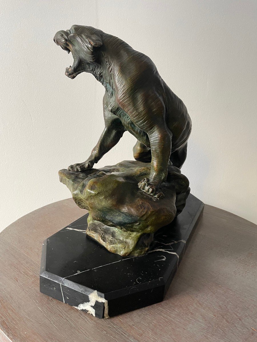 Sculpture, Roaring Lioness In Bronze Signed By Thomas Cartier-photo-1