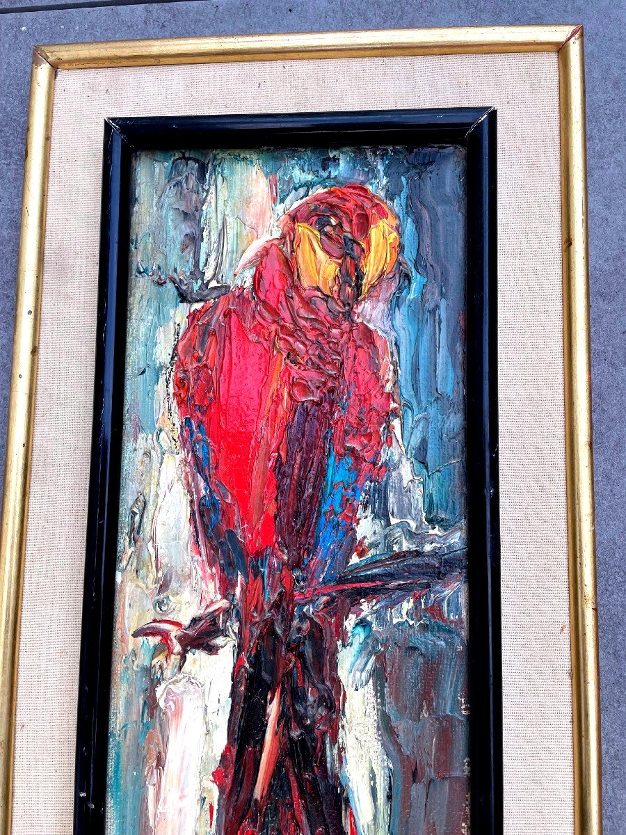 Painting, Macaw, Oil On Canvas Signed By Roger Vandelbulcke, Belgian Painter-photo-2