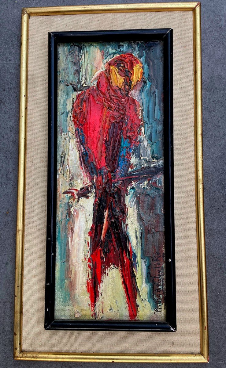 Painting, Macaw, Oil On Canvas Signed By Roger Vandelbulcke, Belgian Painter