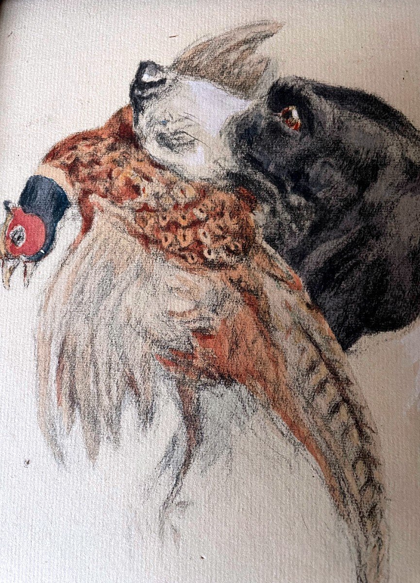 Tableau, Chien De Chasse Et Son Gibier, Crayon Signé De Henri Vincent Anglade-photo-3