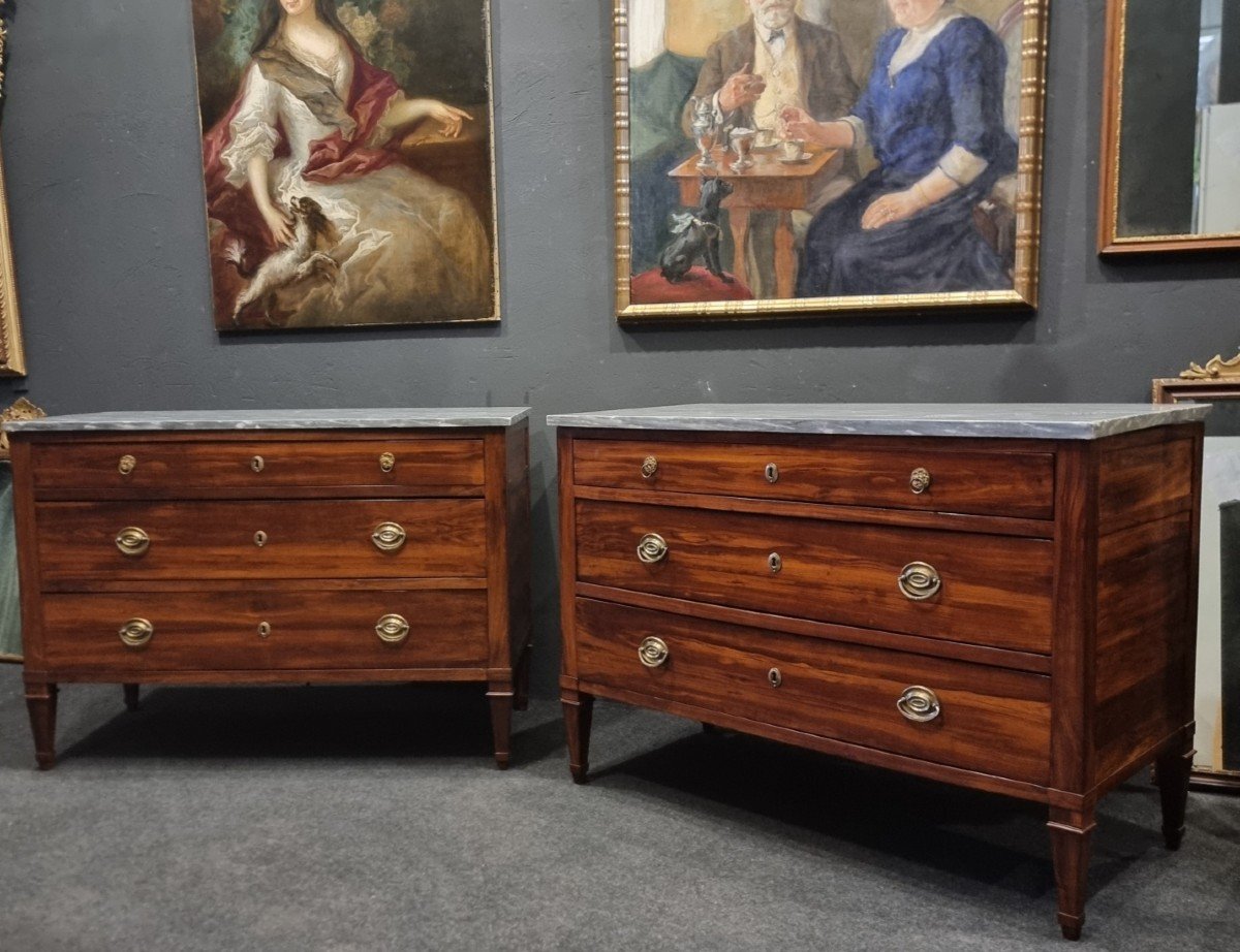 Pair Of Louis XVI Directoire Plum Wood Commodes-photo-2