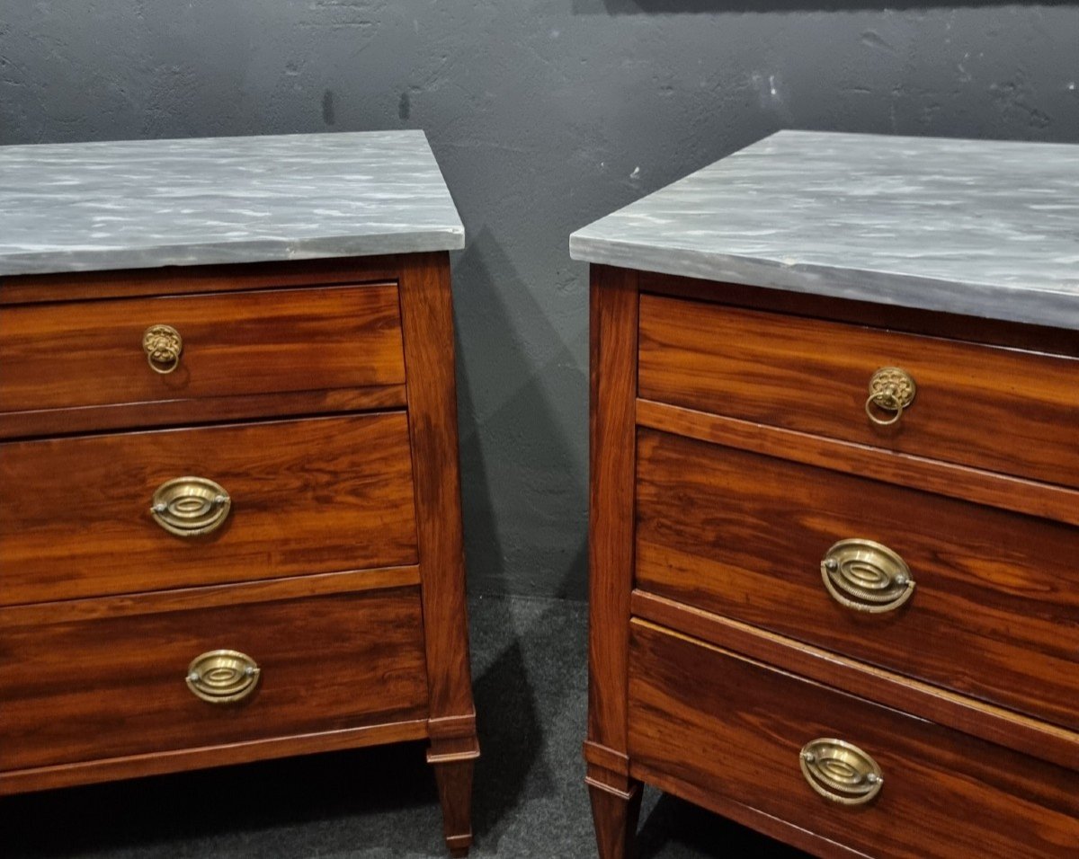 Pair Of Louis XVI Directoire Plum Wood Commodes-photo-1