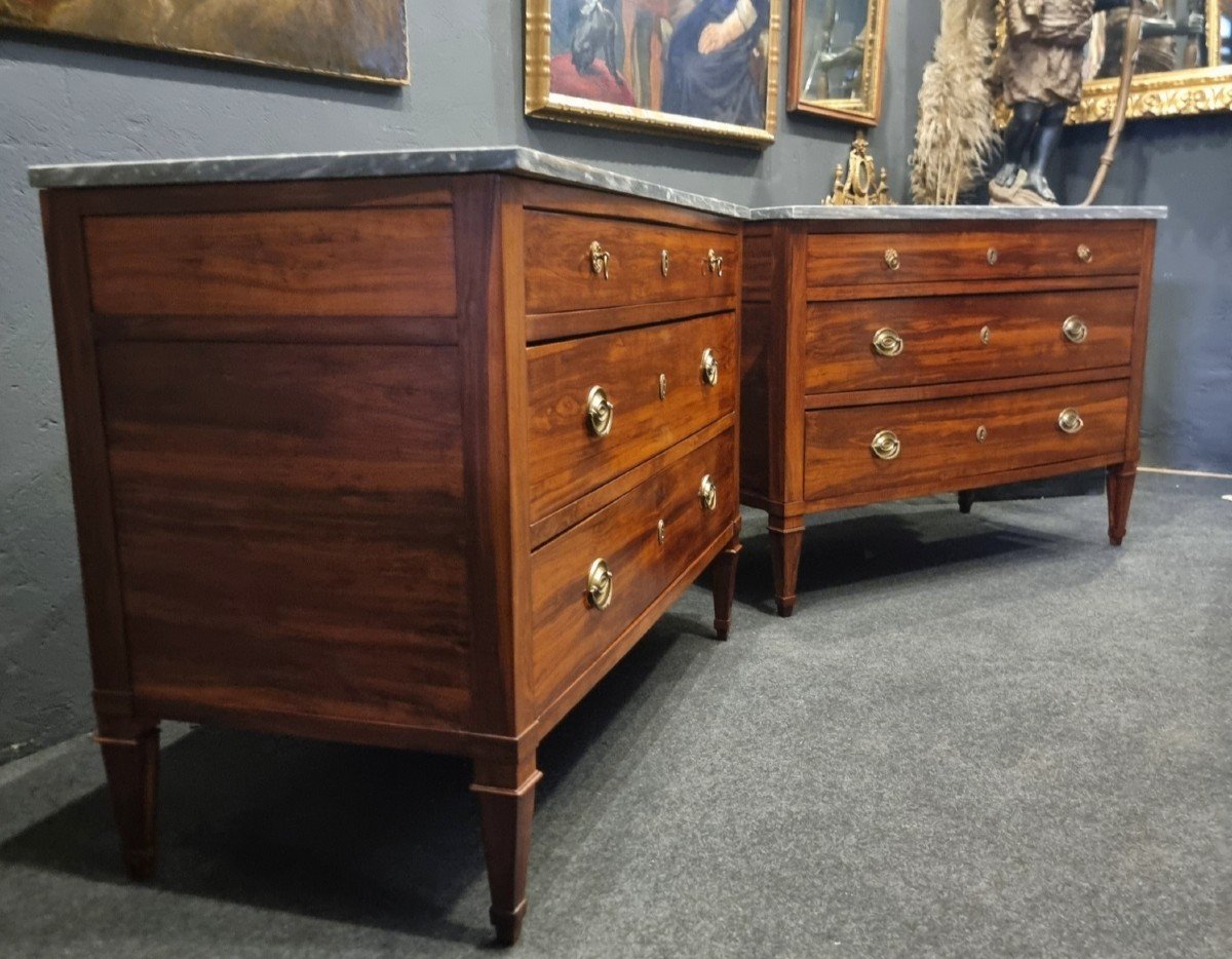 Pair Of Louis XVI Directoire Plum Wood Commodes-photo-3