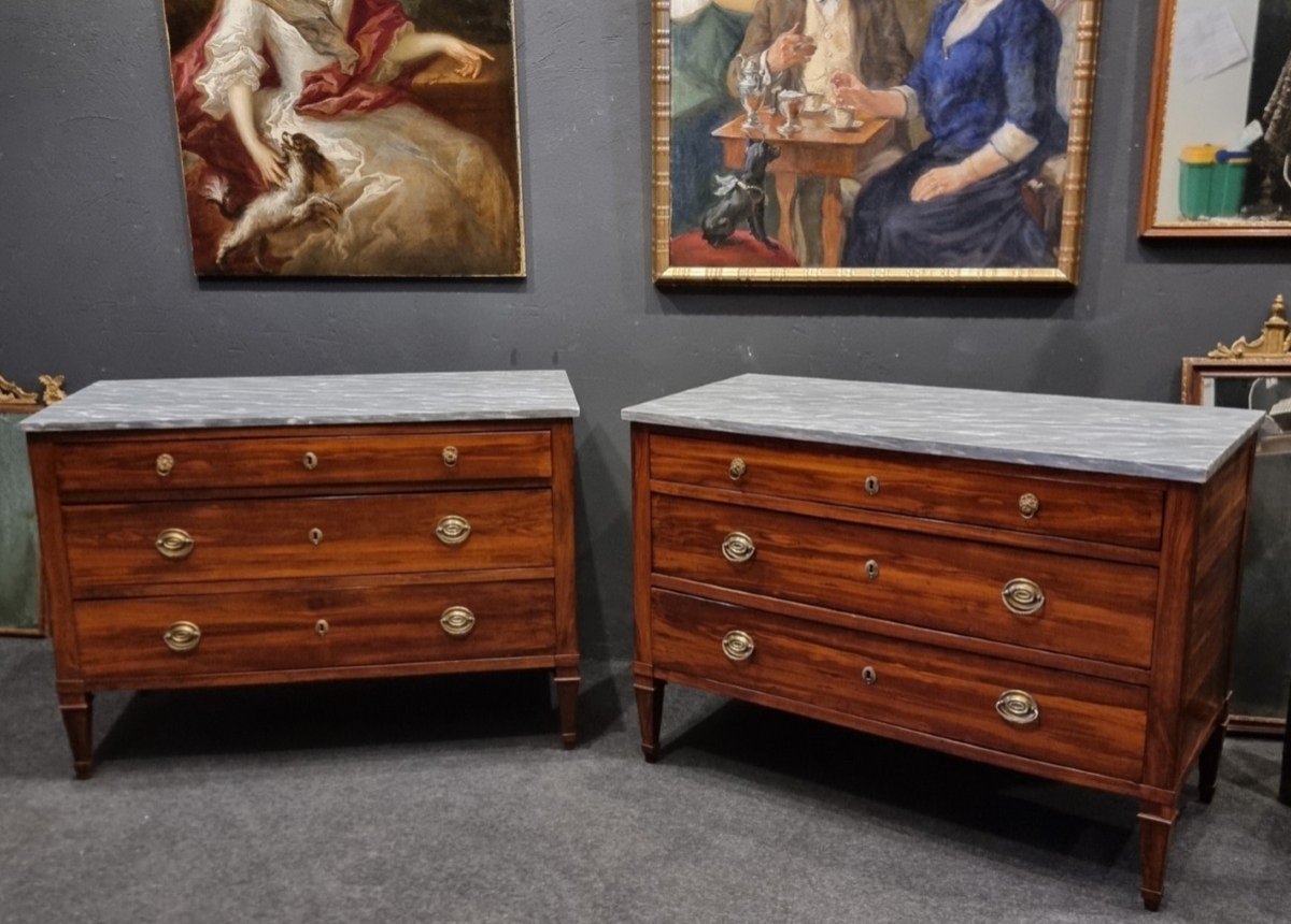 Pair Of Louis XVI Directoire Plum Wood Commodes-photo-6