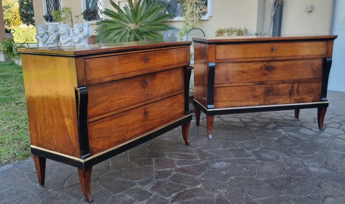 Pair Of Walnut Dressers 1810 First Empire-photo-2