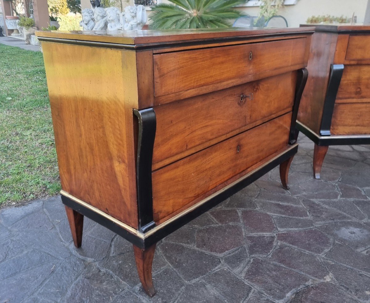 Pair Of Walnut Dressers 1810 First Empire-photo-3