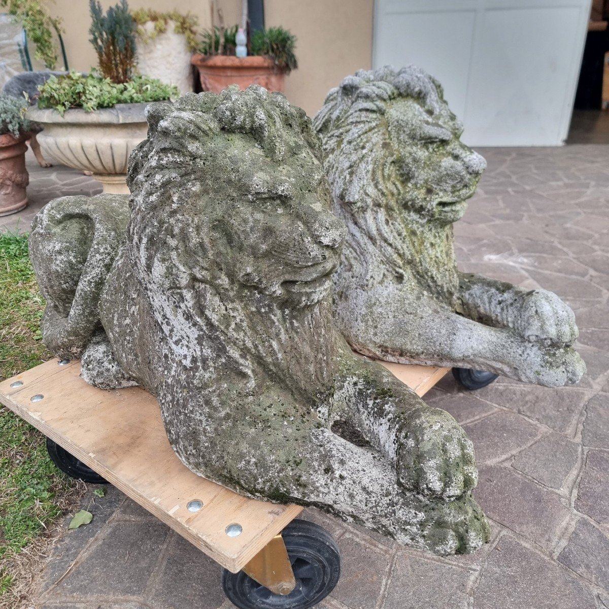 Pair Of Stone Lions 800: Timeless Elegance For Your Space