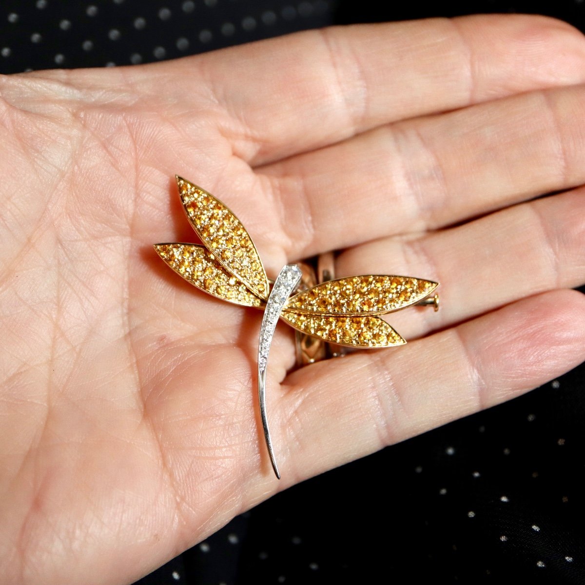 Van Cleef & Arpels Broche Libellule Or Blanc Et Or Jaune 18 Kt, Saphirs Jaunes Et Diamants -photo-2