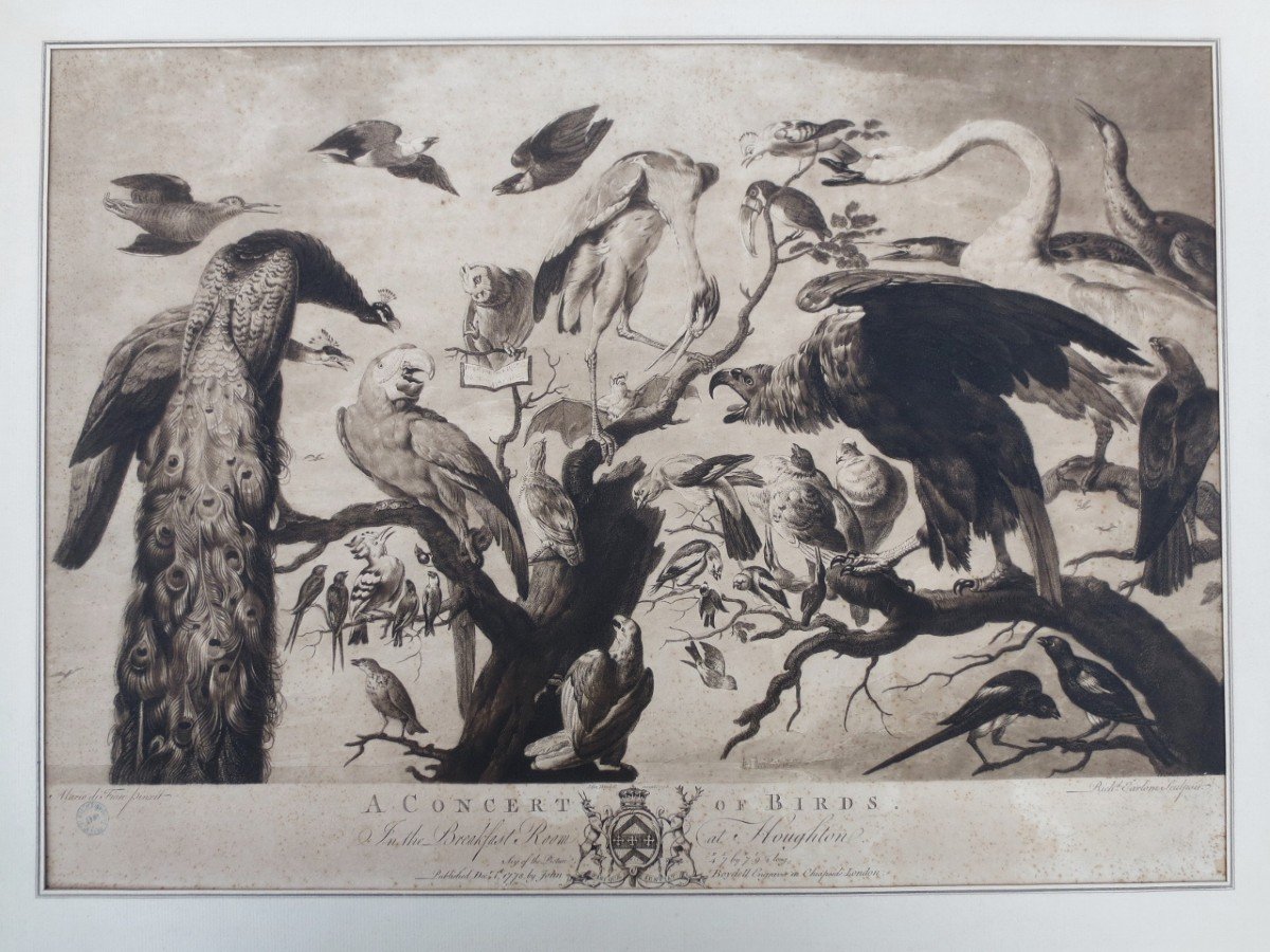 18th Century Engraving, “a Concert Of Birds”.-photo-2