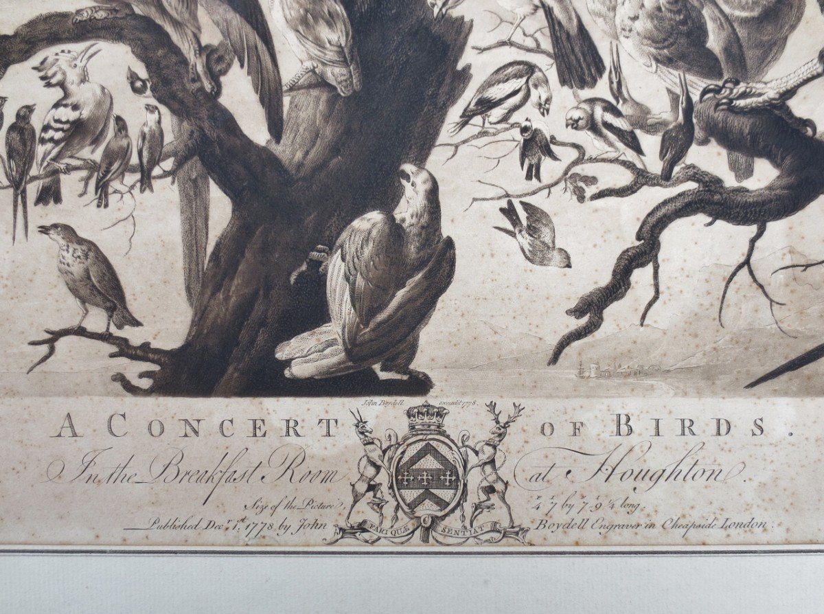 18th Century Engraving, “a Concert Of Birds”.-photo-4