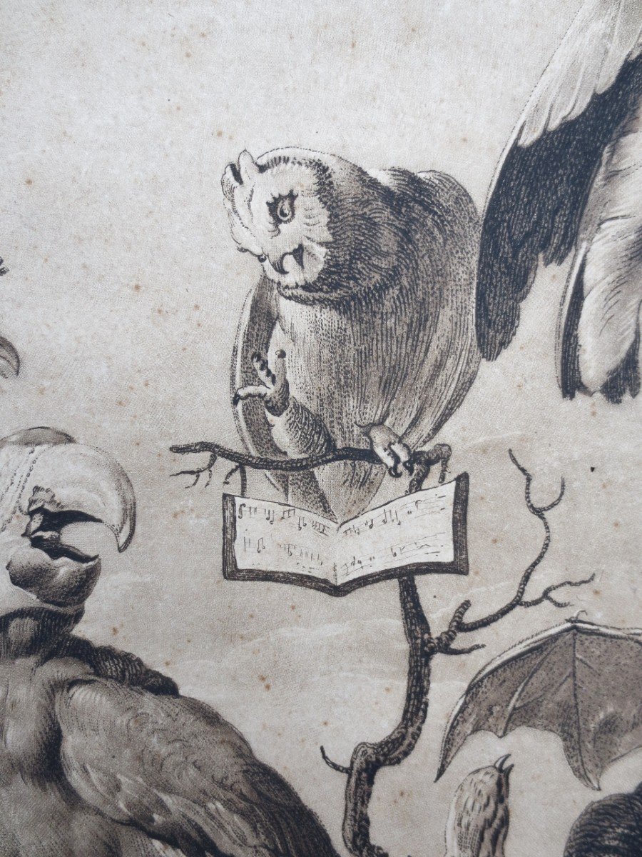 18th Century Engraving, “a Concert Of Birds”.-photo-3