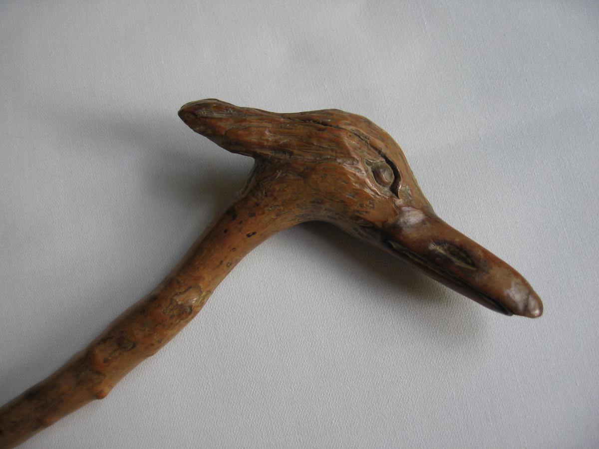 Old Cane, Head Of Egret