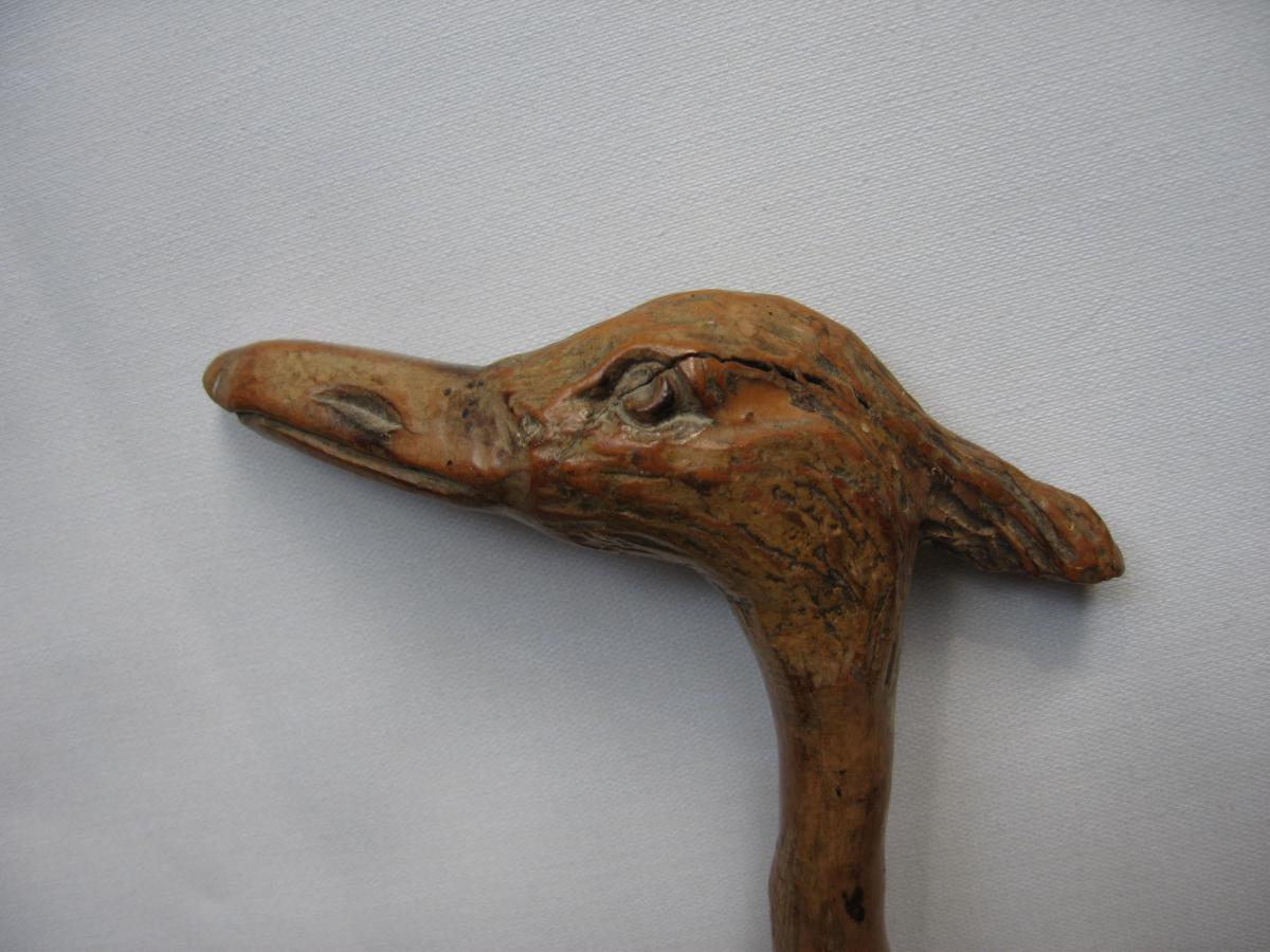 Old Cane, Head Of Egret-photo-3