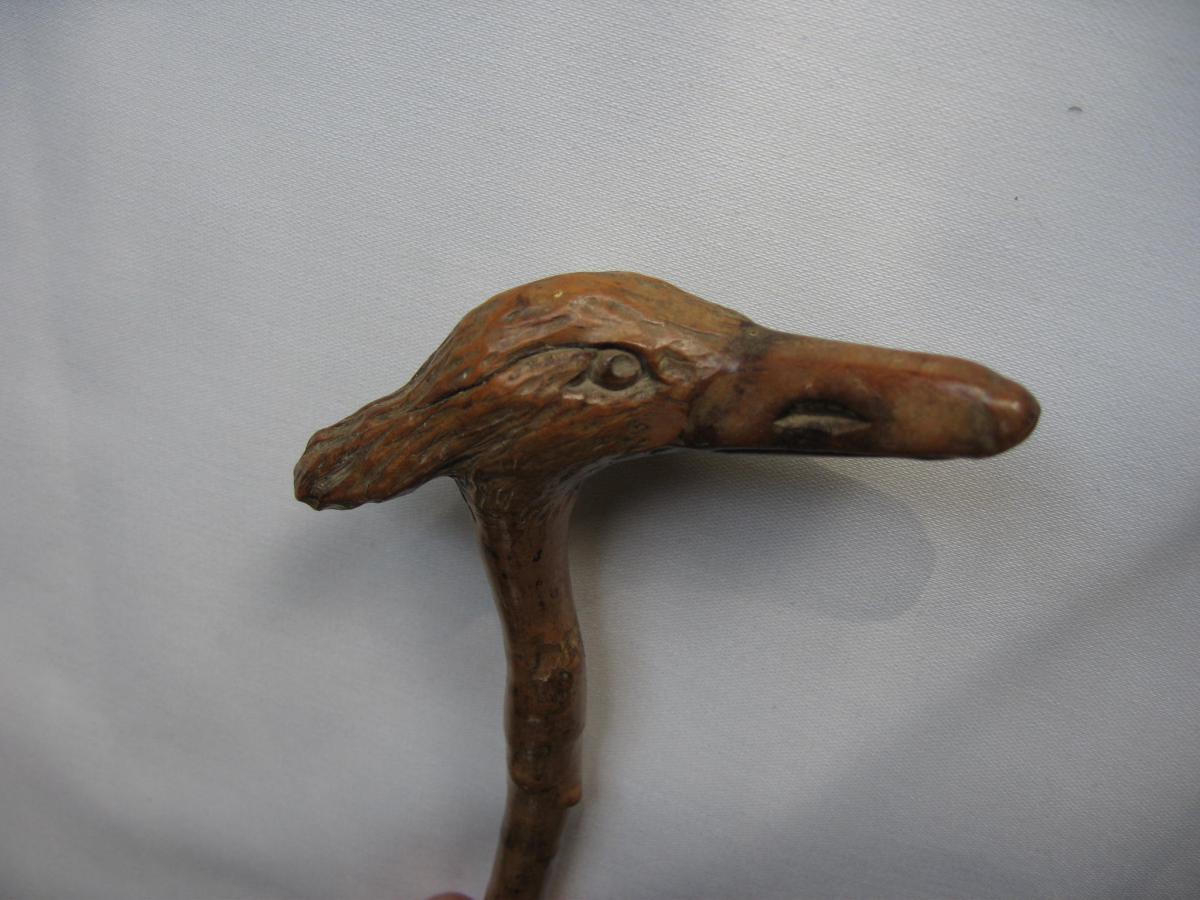 Old Cane, Head Of Egret-photo-4