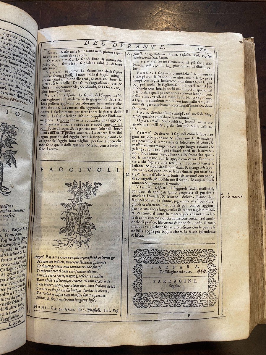 Livre "herbario Nuovo" Di Castore Durante. Bonfadino, Roma 1585-photo-1