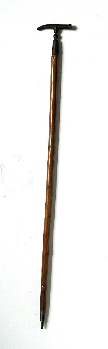 19th Century Wrought Iron Geologist's Or Mineralogist's Walk Stick-photo-2