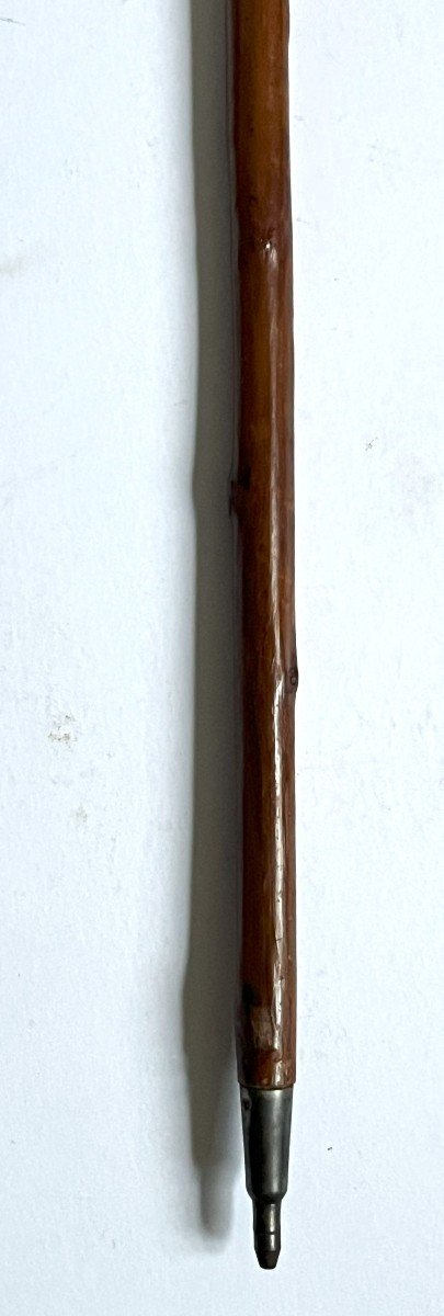 19th Century Wrought Iron Geologist's Or Mineralogist's Walk Stick-photo-5