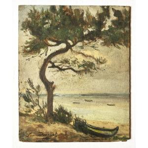 Léontine Darriet, View Of The Arcachon Basin, Oil On Panel