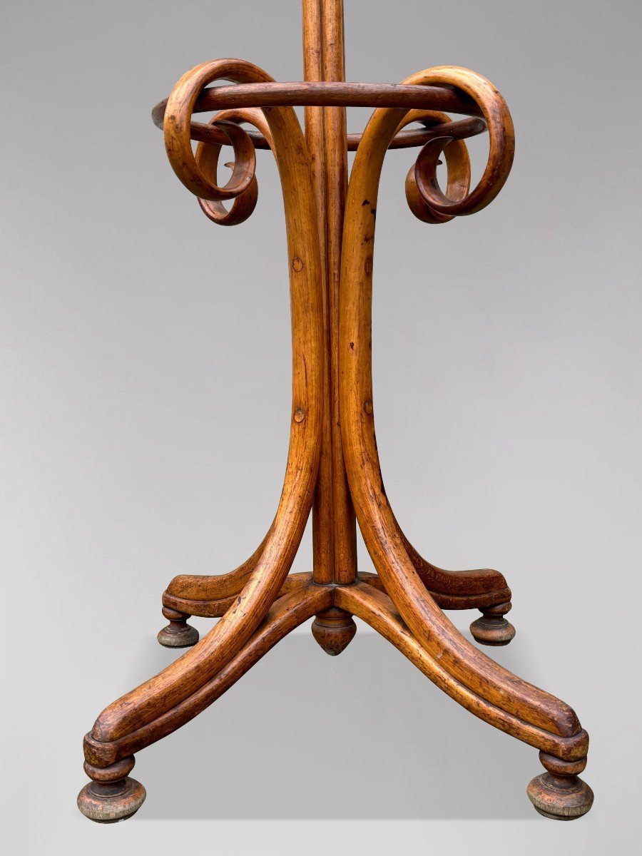 Early 20th Century Thonet Bentwood Parrot Coat Stand-photo-2