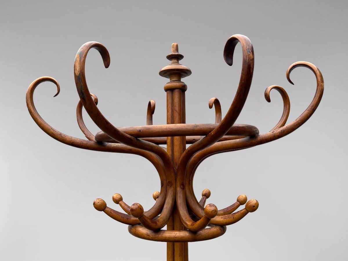 Early 20th Century Thonet Bentwood Parrot Coat Stand-photo-3