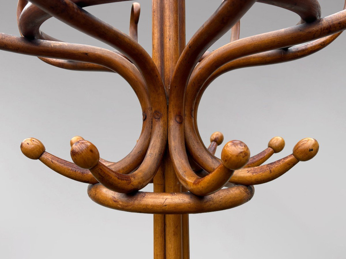 Early 20th Century Thonet Bentwood Parrot Coat Stand-photo-4