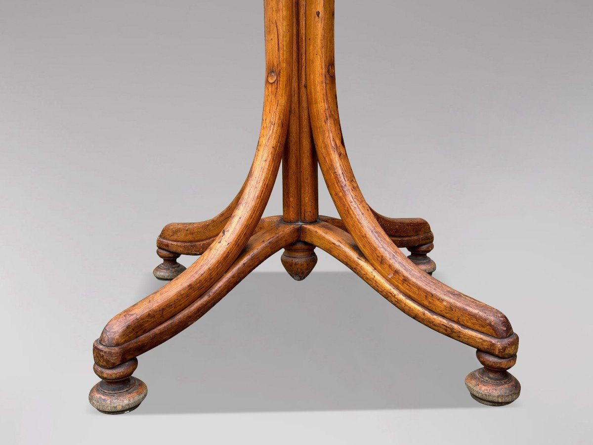 Early 20th Century Thonet Bentwood Parrot Coat Stand-photo-1