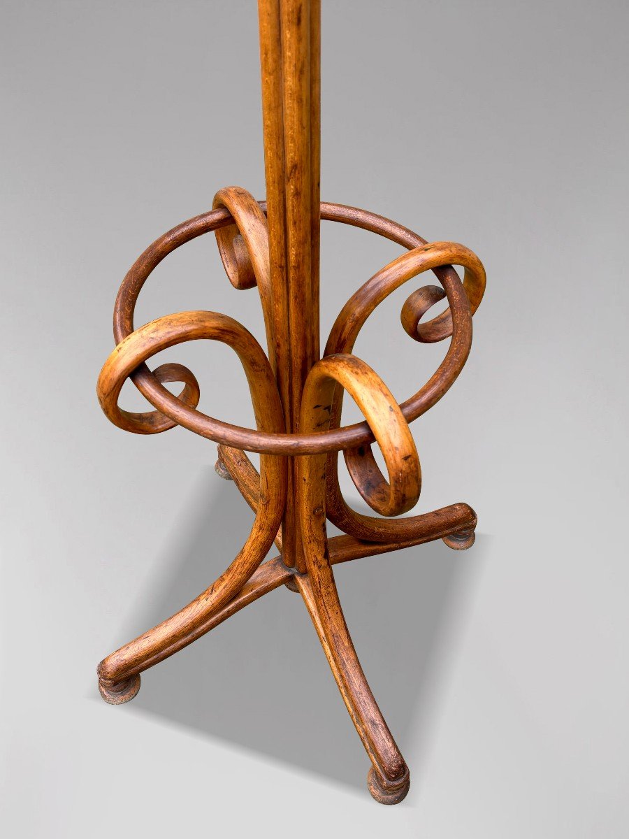 Early 20th Century Thonet Bentwood Parrot Coat Stand-photo-3