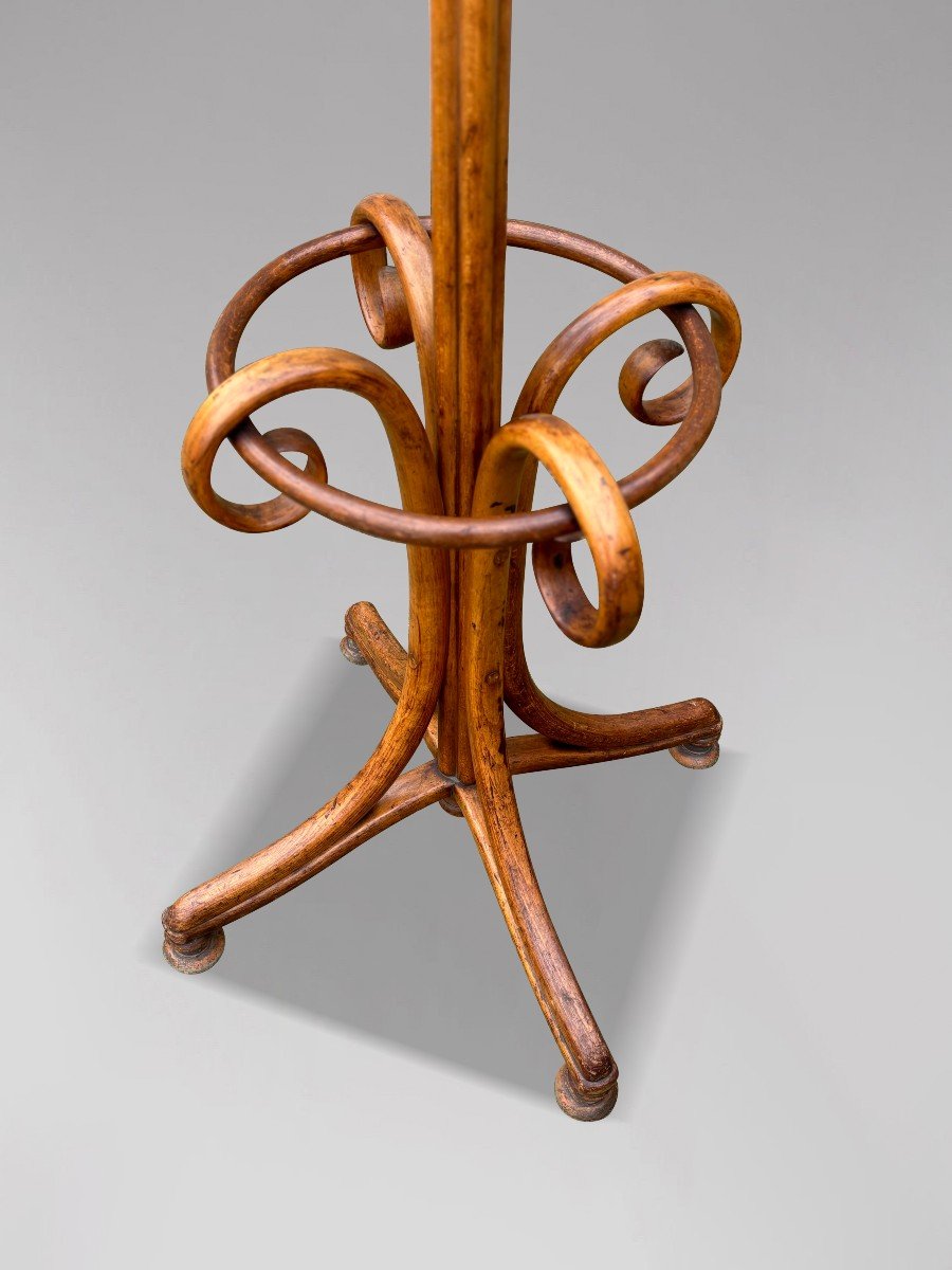 Early 20th Century Thonet Bentwood Parrot Coat Stand-photo-5