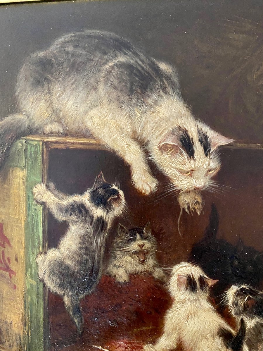 Henriette Ronner, Cats-photo-4