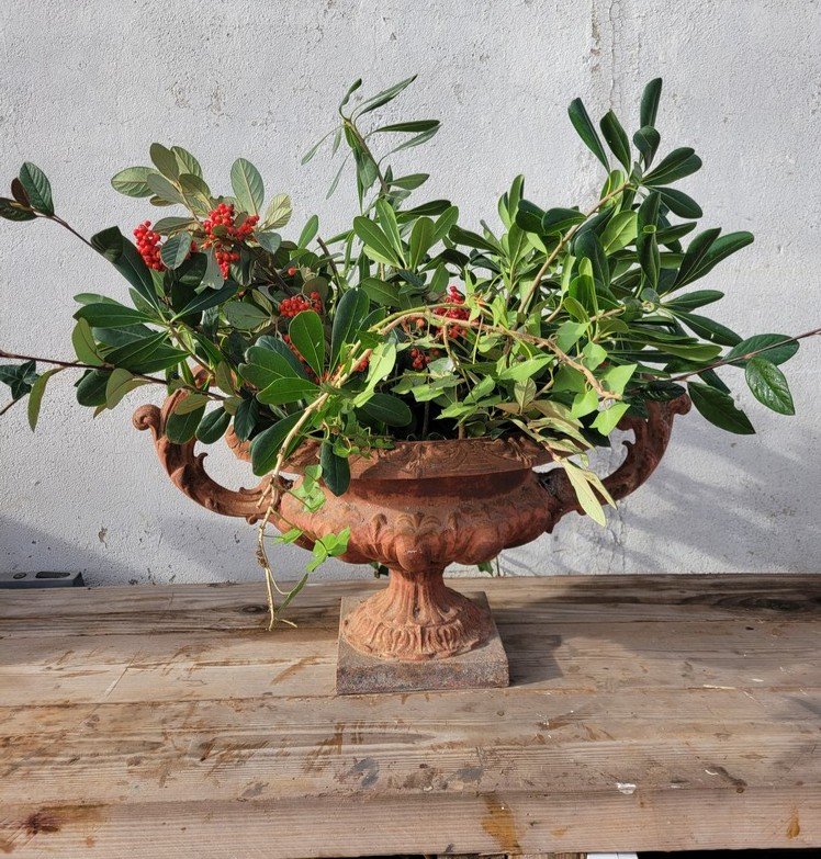 Cast Iron Garden Vase-photo-2