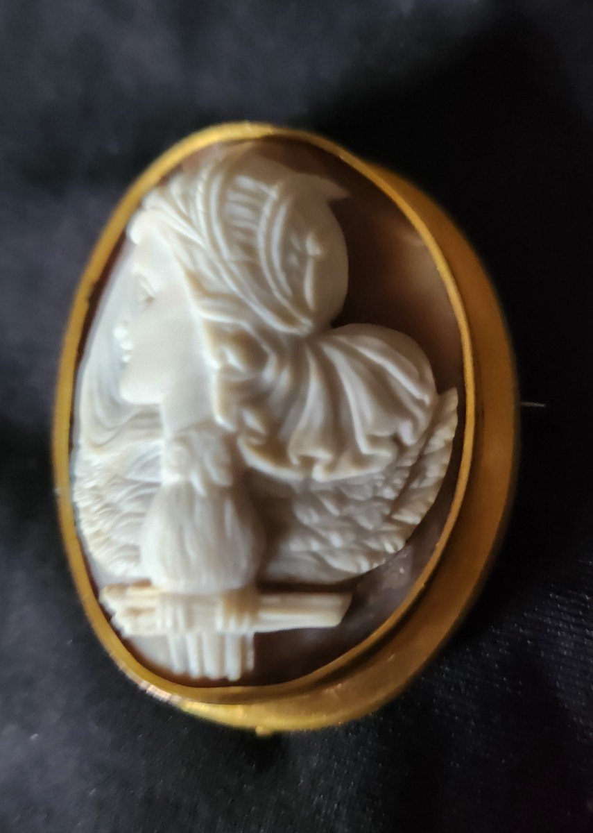 Shell Cameo Woman And Owl 19th Century-photo-2