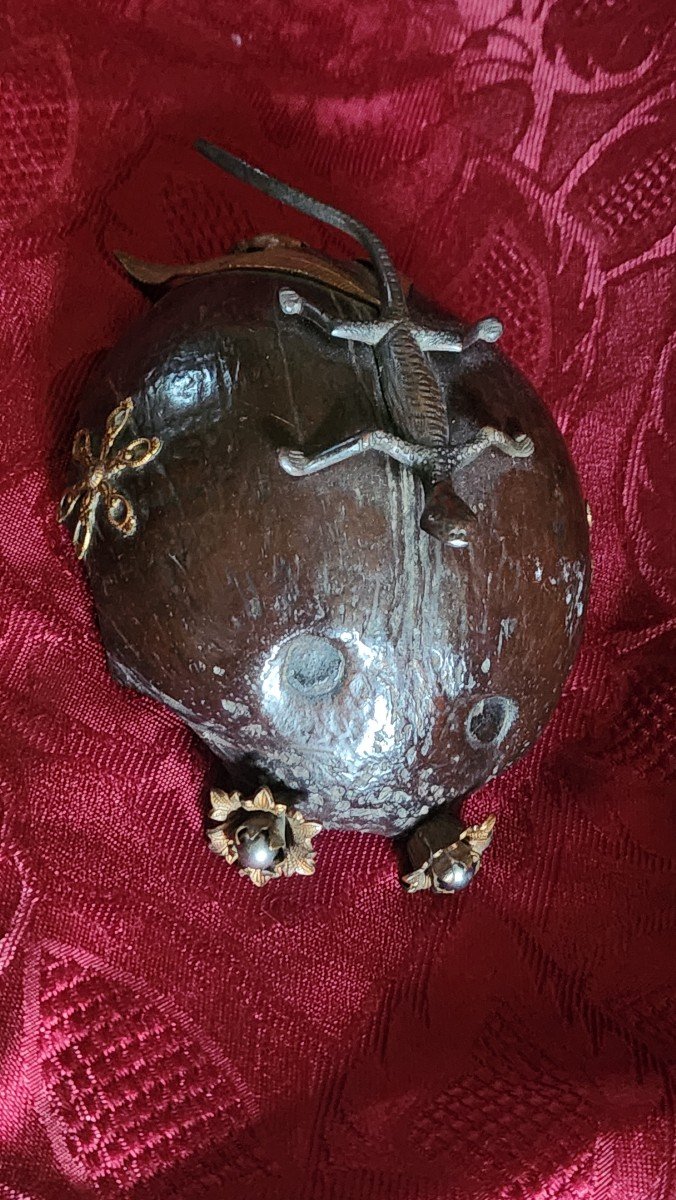 Coconut And Lizard In Bronze 19th Century -photo-3