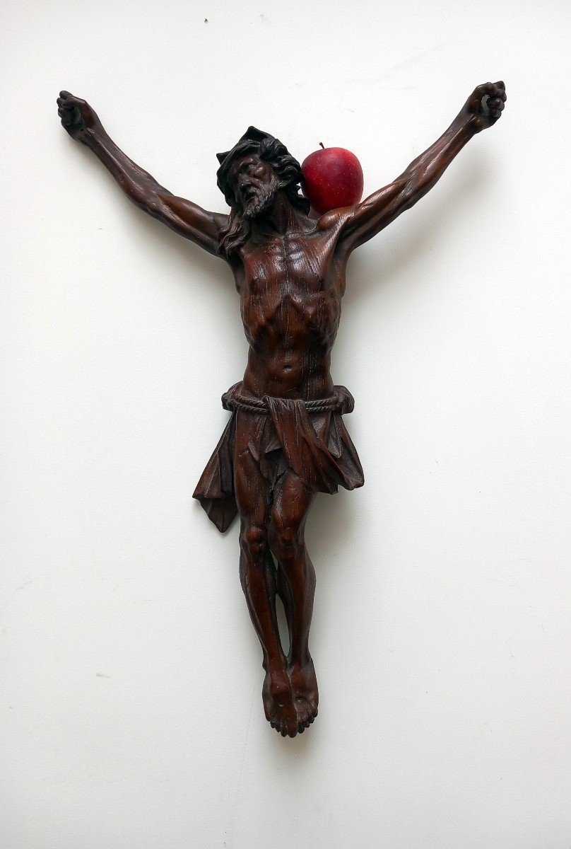 Religiosa Crucifix Grand Christ En Chêne Finement Sculpté 18 Eme