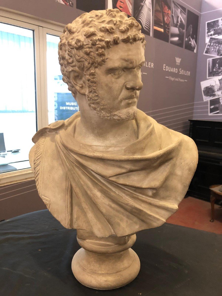 Plaster Bust