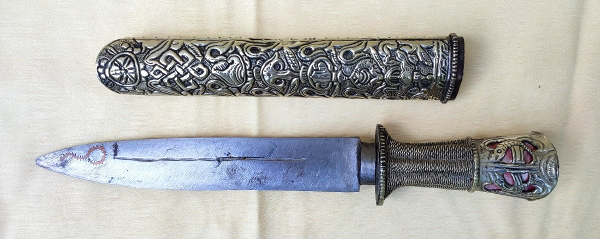 Eastern Dagger-photo-7