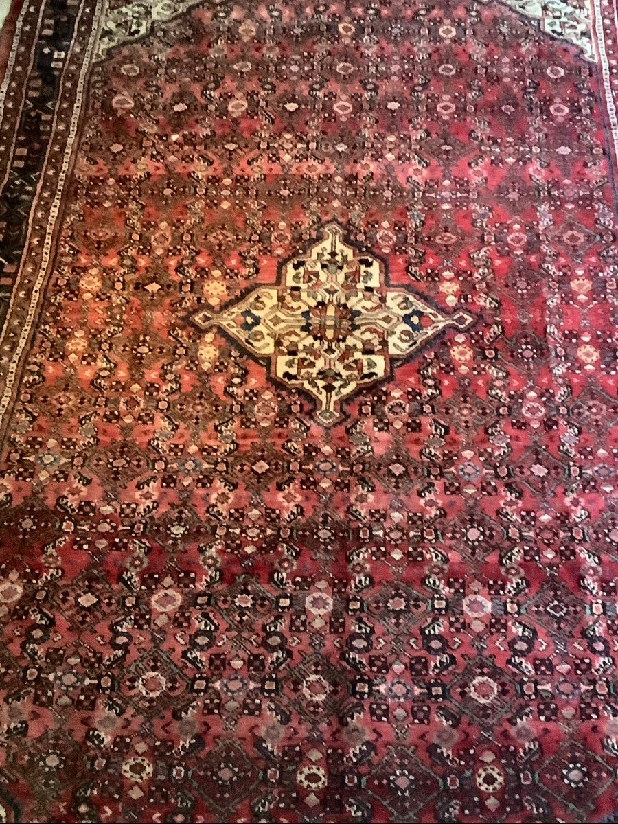 Hamedan Wool Carpet Early 20th Century-photo-2