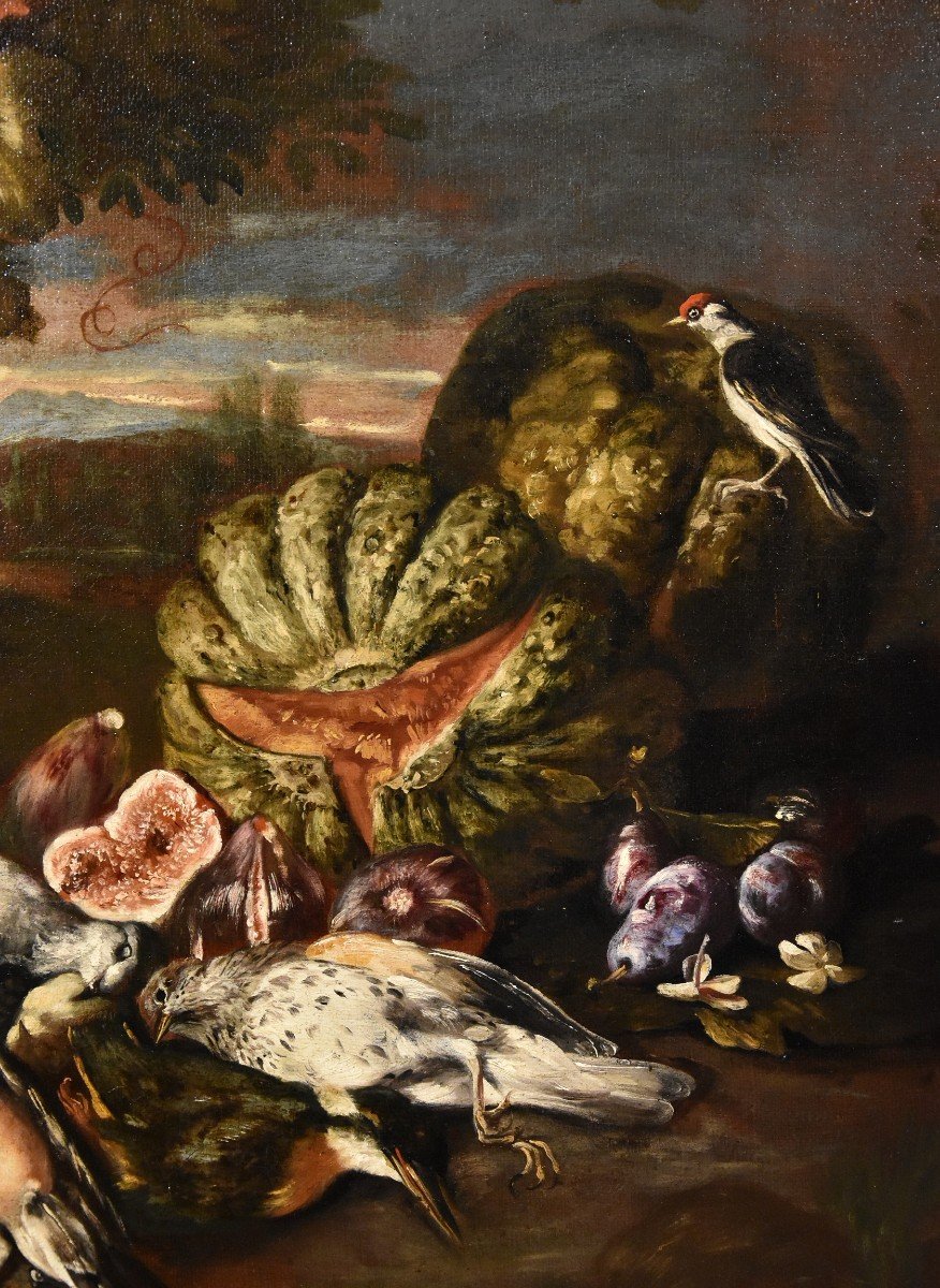 Nature Morte Dans Un Paysage, Giovanni Paolo Castelli, Dit Spadino (rome 1659-1730) Attribuable-photo-3