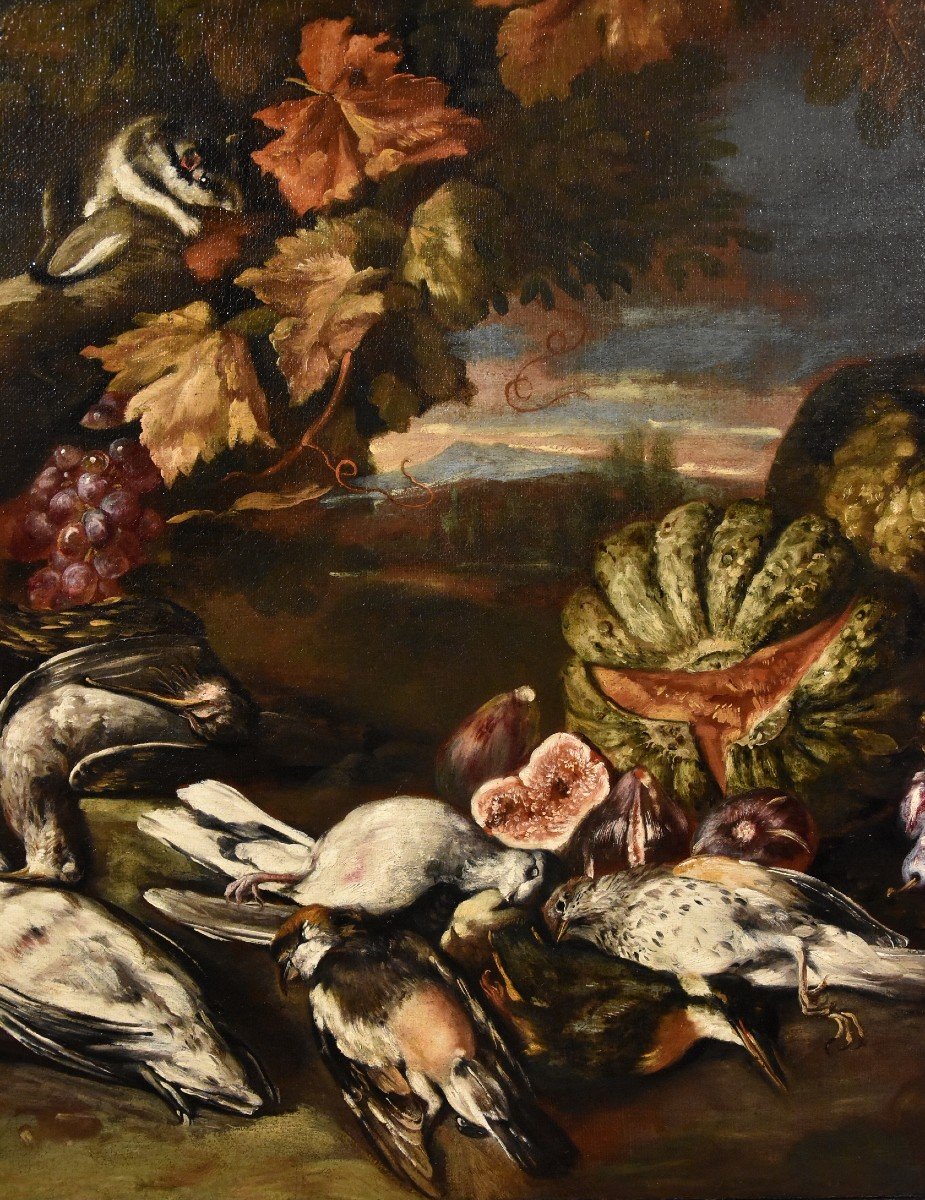 Nature Morte Dans Un Paysage, Giovanni Paolo Castelli, Dit Spadino (rome 1659-1730) Attribuable-photo-4
