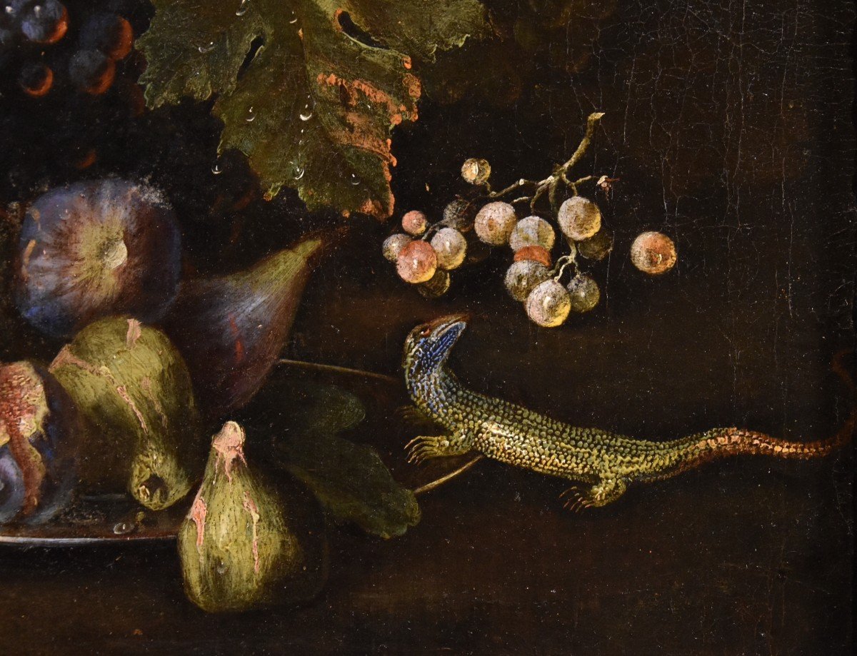 Still Life Of Fruit With Lizard, Franz Werner Von Tamm (hamburg 1658-vienna 1754) Attributed To-photo-4