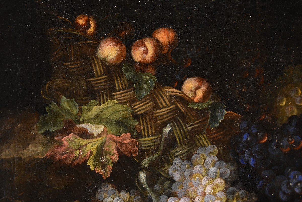 Still Life Of Fruit With Lizard, Franz Werner Von Tamm (hamburg 1658-vienna 1754) Attributed To-photo-4