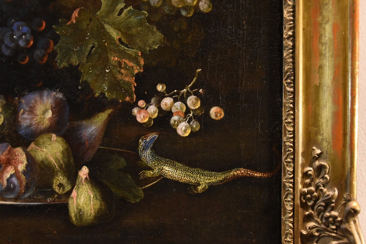 Still Life Of Fruit With Lizard, Franz Werner Von Tamm (hamburg 1658-vienna 1754) Attributed To-photo-7