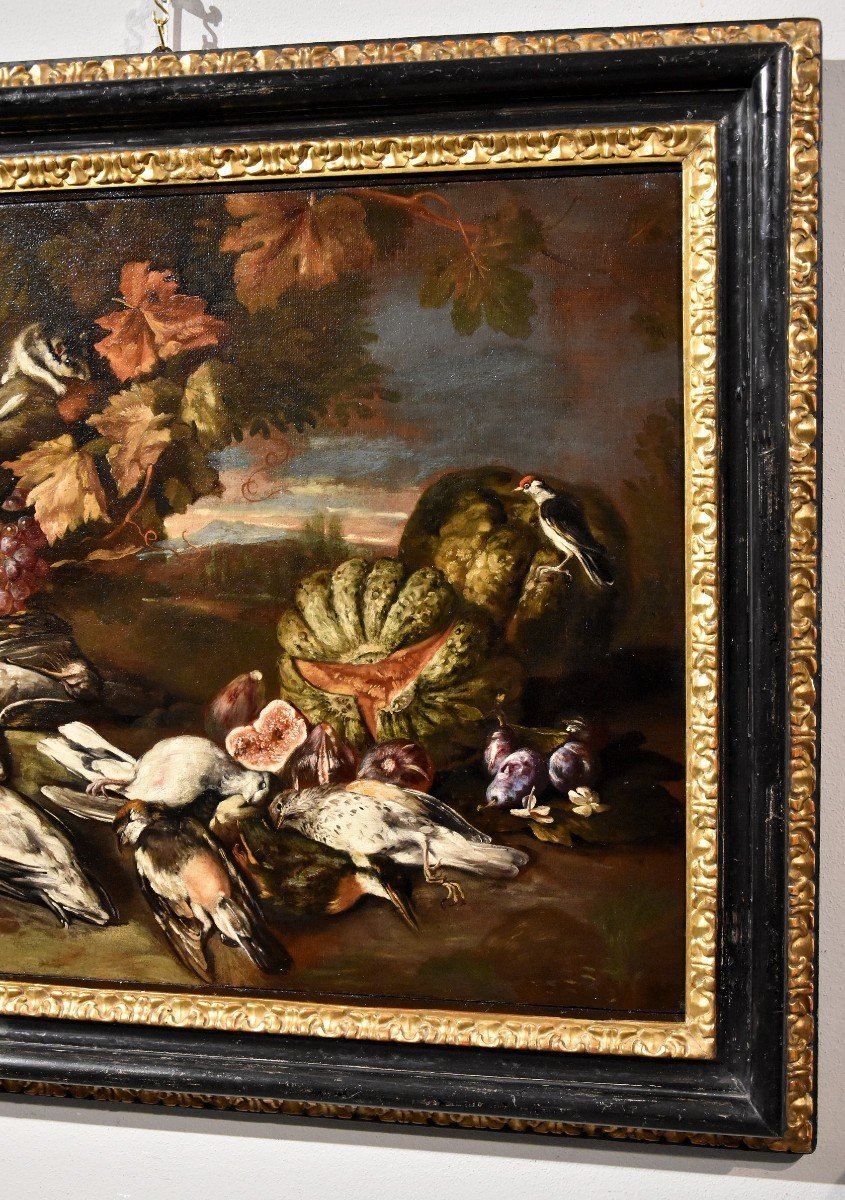 Nature Morte Dans Un Paysage, Giovanni Paolo Castelli, Dit Spadino (rome 1659-1730) Attribuable-photo-3