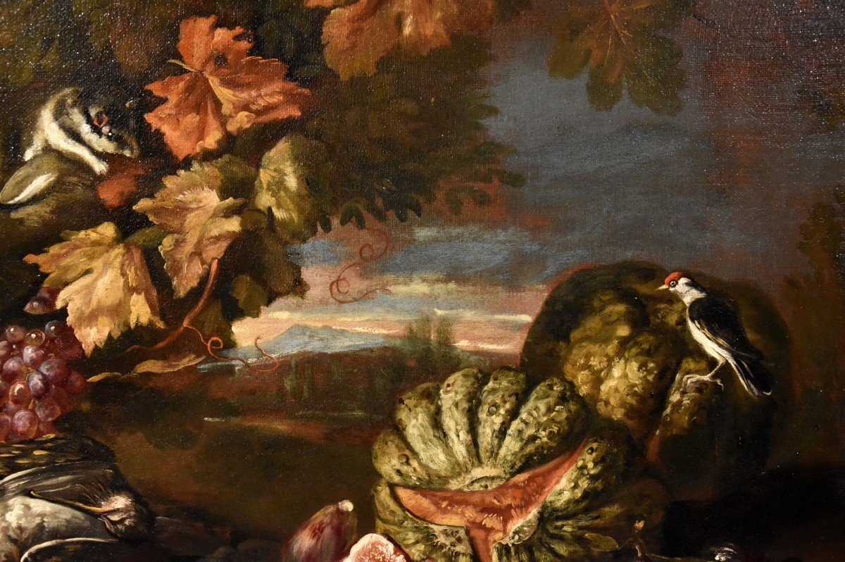 Nature Morte Dans Un Paysage, Giovanni Paolo Castelli, Dit Spadino (rome 1659-1730) Attribuable-photo-2