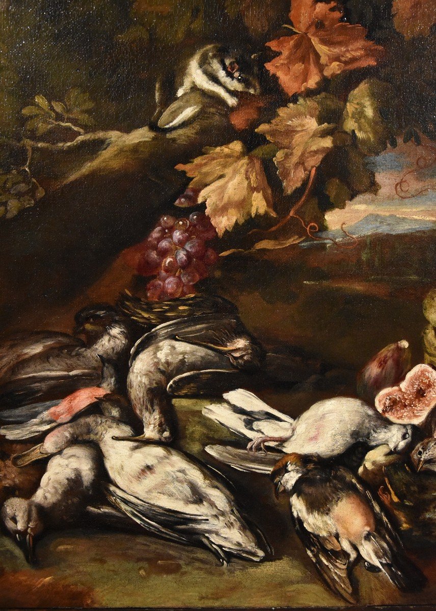 Nature Morte Dans Un Paysage, Giovanni Paolo Castelli, Dit Spadino (rome 1659-1730) Attribuable-photo-4