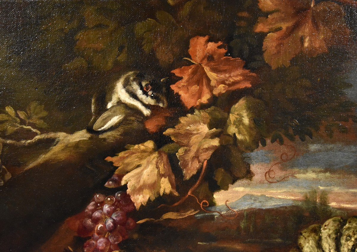 Nature Morte Dans Un Paysage, Giovanni Paolo Castelli, Dit Spadino (rome 1659-1730) Attribuable-photo-5