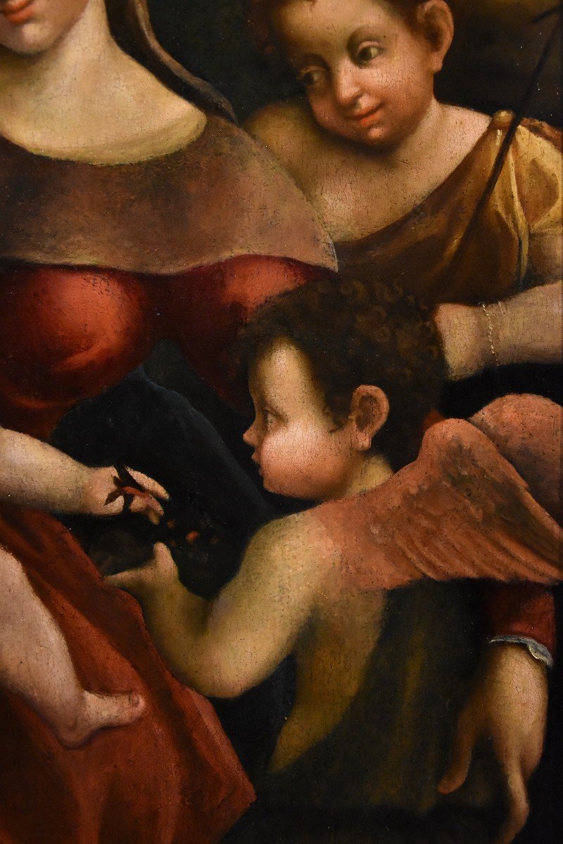 Pomponio Allegri (correggio 1522 - Parme 1593), Vierge à l'Enfant, Deux Anges Et Jean-baptiste-photo-4